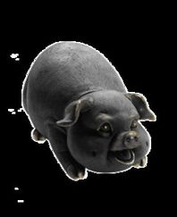 發財豬 聯漢國際資訊股份旗下bysources豬產品的全面解析