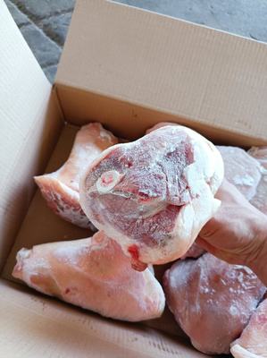 山東臨沂蘭山區豬副產品批發概覽 優質豬肘子，價格親民