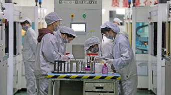 金華雨水暫歇天空放晴 尋香賞梅正當時