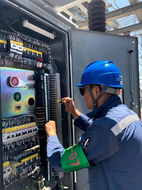 南方電網一大群 丁真 正向你走來