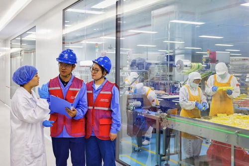 奮進強國路 闊步新征程 為美好生活充電 電力工程的勘察