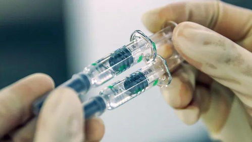 九個(gè)市民關(guān)心的疫苗問(wèn)題，電力科研專家來(lái)解答